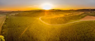 ジャテツ(写真：UPVISION)