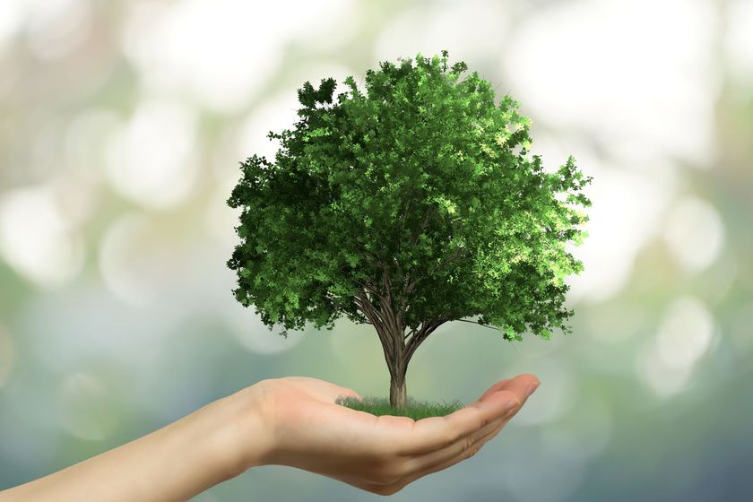 官・民・NGO・NPO・森を守る人々が集結する
「FSC国産木材普及推進シンポジウム」
3月17日 愛知・一宮市で開催