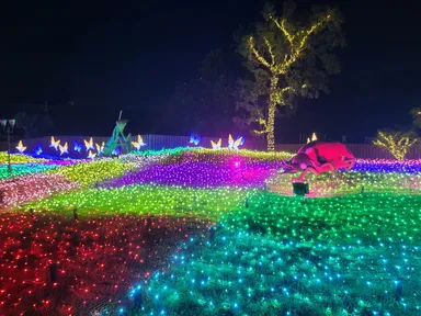 煌めく虫たちのエントランス(2)