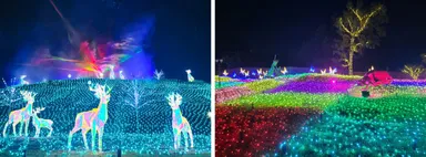 ノースマウンテン(左)と煌めく虫たちのエントランス