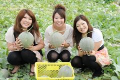深作農園メロン狩り