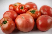 規格外トマト