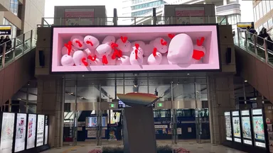 ビジョン放映イメージ