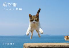 ビジュアル1