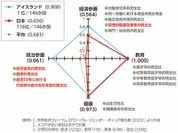 各分野におけるスコア