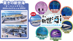 新世海 ※画像はイメージです