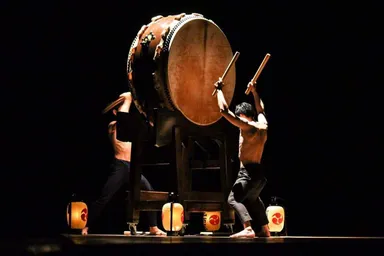 猩猩の演奏写真