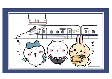 ランチョンマット　1,100円