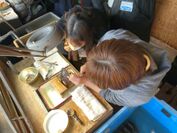 イケチョウガイから真珠を取り出す作業を見学する学生