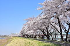 img_347861_2.jpg