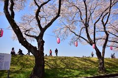 img_347861_3.jpg