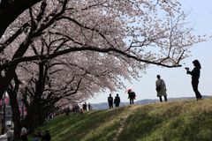 img_347861_4.jpg