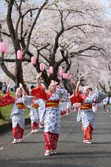 img_347861_5.jpg