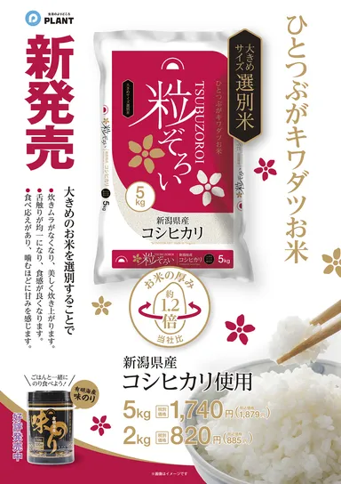 新潟県産コシヒカリ 粒ぞろい