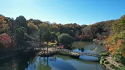 町田市_薬師池公園