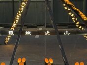 2022年信玄光芸術竹灯籠の写真(11)