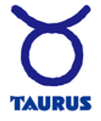 トーラス株式会社のロゴ