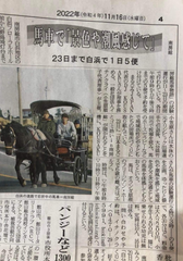 他力サムガ(12)