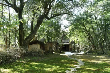 「清霞」と「堯人」が語り合った庭園・雲幽園