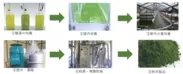 製造工程