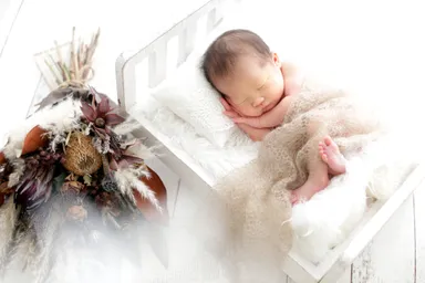 撮影-ベビーフォト