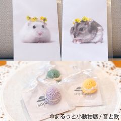 グッズ(2)