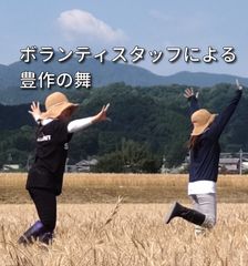 豊作の舞
