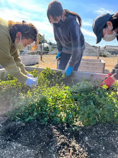 野菜を作ったことがない方でも、手軽に体験できます