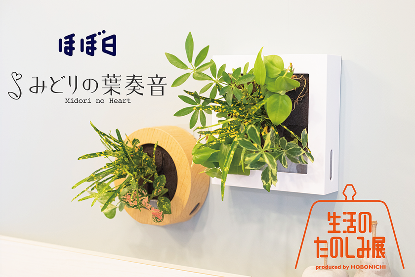 みどりの葉奏音×ほぼ日 『生活のたのしみ展2023』に〈土を使わない植物