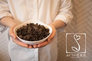 土に代わる新素材「フューチャーソイル」