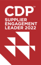 CDP SER2022ロゴ