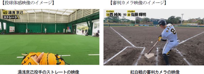 2023年版「投球体感映像」「審判カメラ映像」を
3月18日（土）から公開
～湯浅京己選手の投球や佐藤輝明選手の打撃を体感！！～