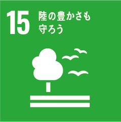 img_349714_10.png