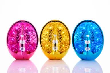 ANGEL CHAMPAGNE Vintage2008 Egg