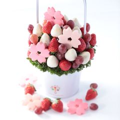 入学や新生活スタートのお祝いにオススメ