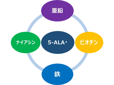 4つの栄養機能成分と5-ALA