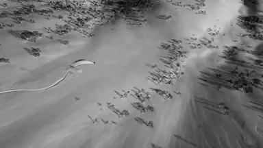 スノーボード部門第1位オーガスティン・ヴィラルバ氏とステファン・ボアズ氏の作品