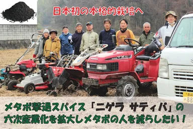 ニゲラ栽培のサポーター(群馬県安中市)