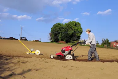 ニゲラの種まき前の整地作業