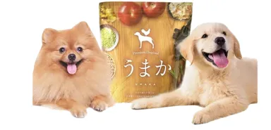 うまかとワンちゃん