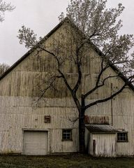 img_350370_3.jpeg