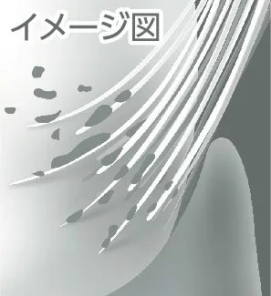 図3-2：付替システマ極上プレミアム