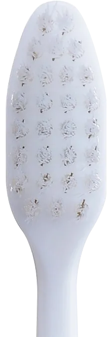 付替クリニカアドバンテージ コンパクト正面