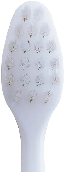 付替クリニカアドバンテージ 超コンパクト正面