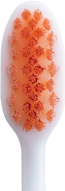 付替NONIO＋ホワイトニング正面