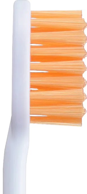 付替NONIO＋ホワイトニング側面