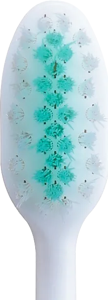 付替システマ正面