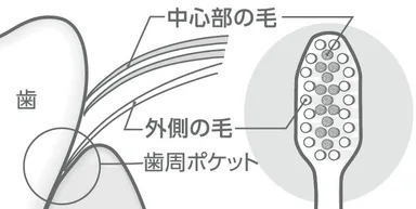 図1：付替システマ