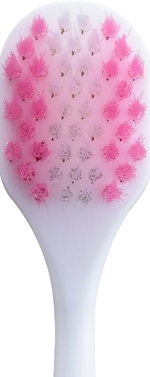 付替システマハグキプラス正面