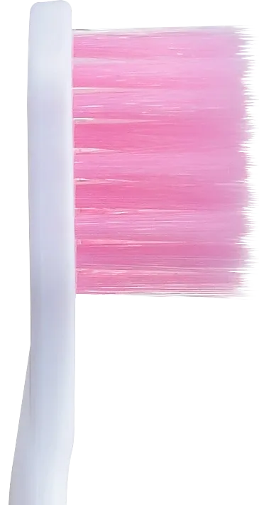 付替システマハグキプラス側面